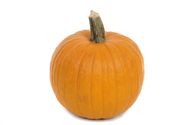 gords& pumpkins