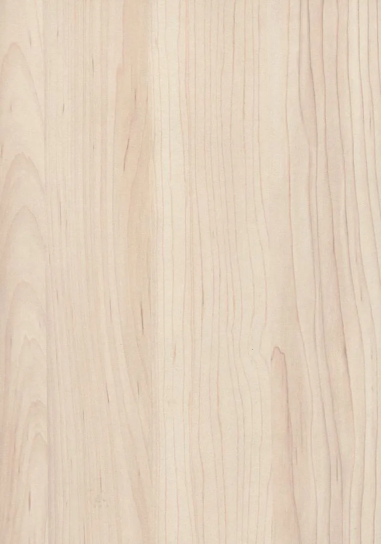 Champagne Hard Maple, H3860 Hard Maple Northbrook IL, Sweet Home Improvements cabinetry, Canadian maple finish Chicago suburbs, ST9 Smoothtouch Matt, modern maple decor