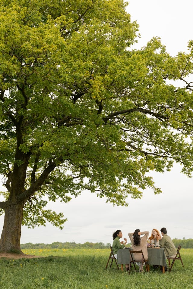 small group of people in dialogue outside under a large tree