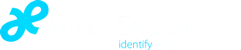 Arete Executive