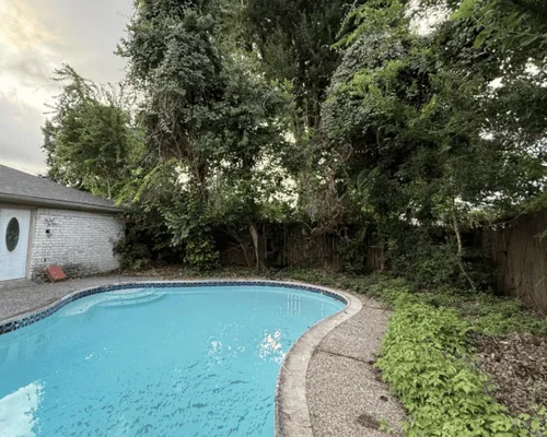 Porter Land Clearing