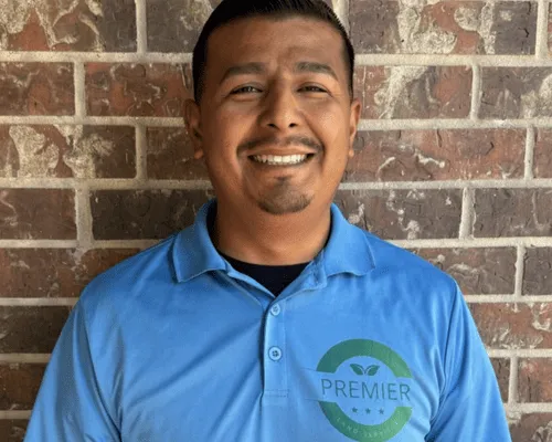 Tree Removal in Porter