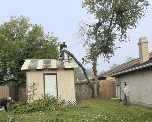 {{ custom_values.service_1 }} in {{custom_values.biz_area_1})