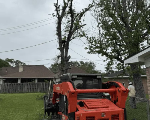  Stump Grinding