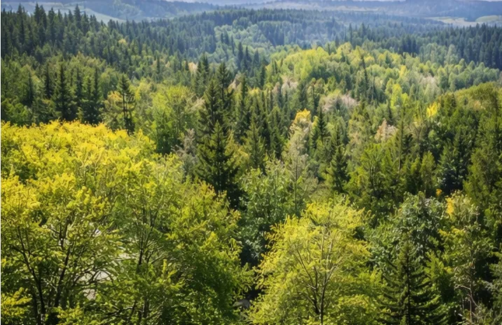 záchrana srnčat před sekačkami