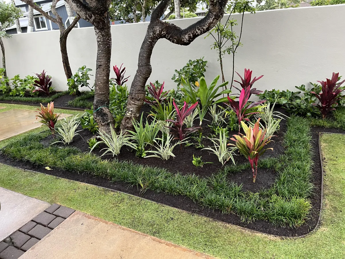 Landscape maintenance and tropical garden installation by Kyani Equipment Services Kauai