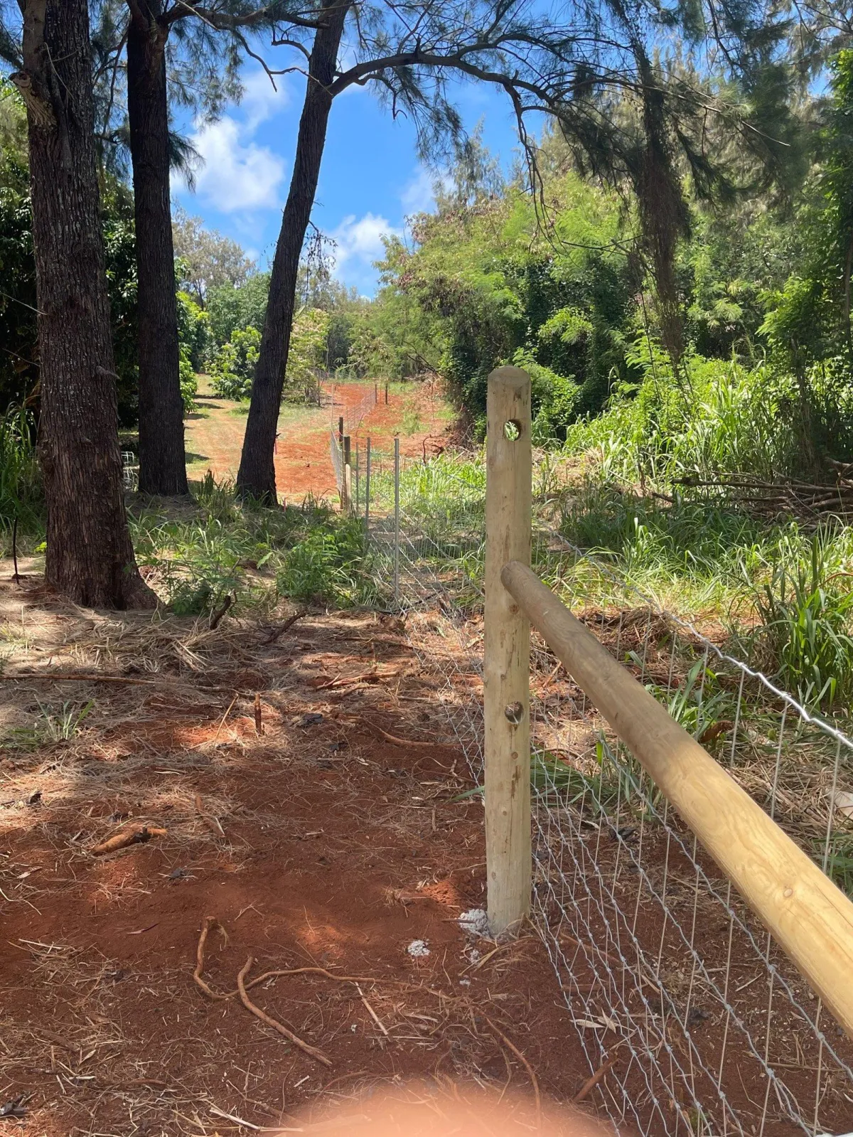 Hog wire agricultural fencing installation on red dirt property in Kilauea, Kauai, following land clearing.