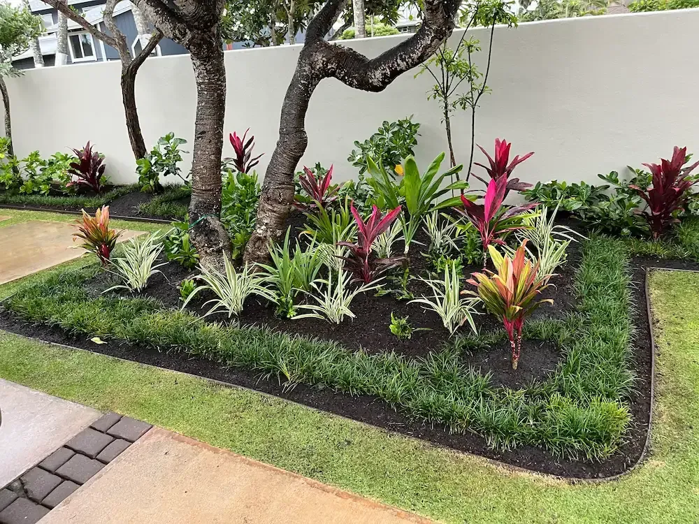 Landscape maintenance and tropical garden installation by Kyani Equipment Services Kauai