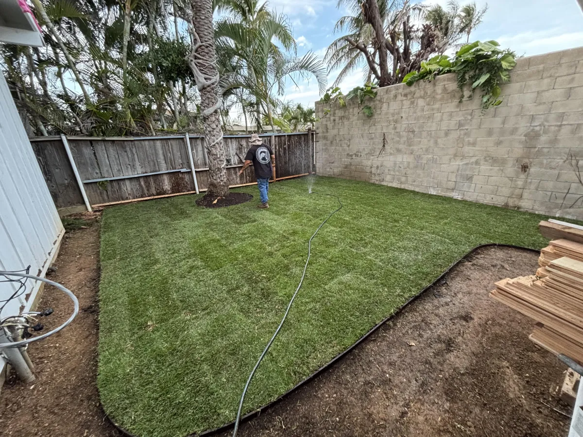 Full Yard Makeover in Hauula, Oahu