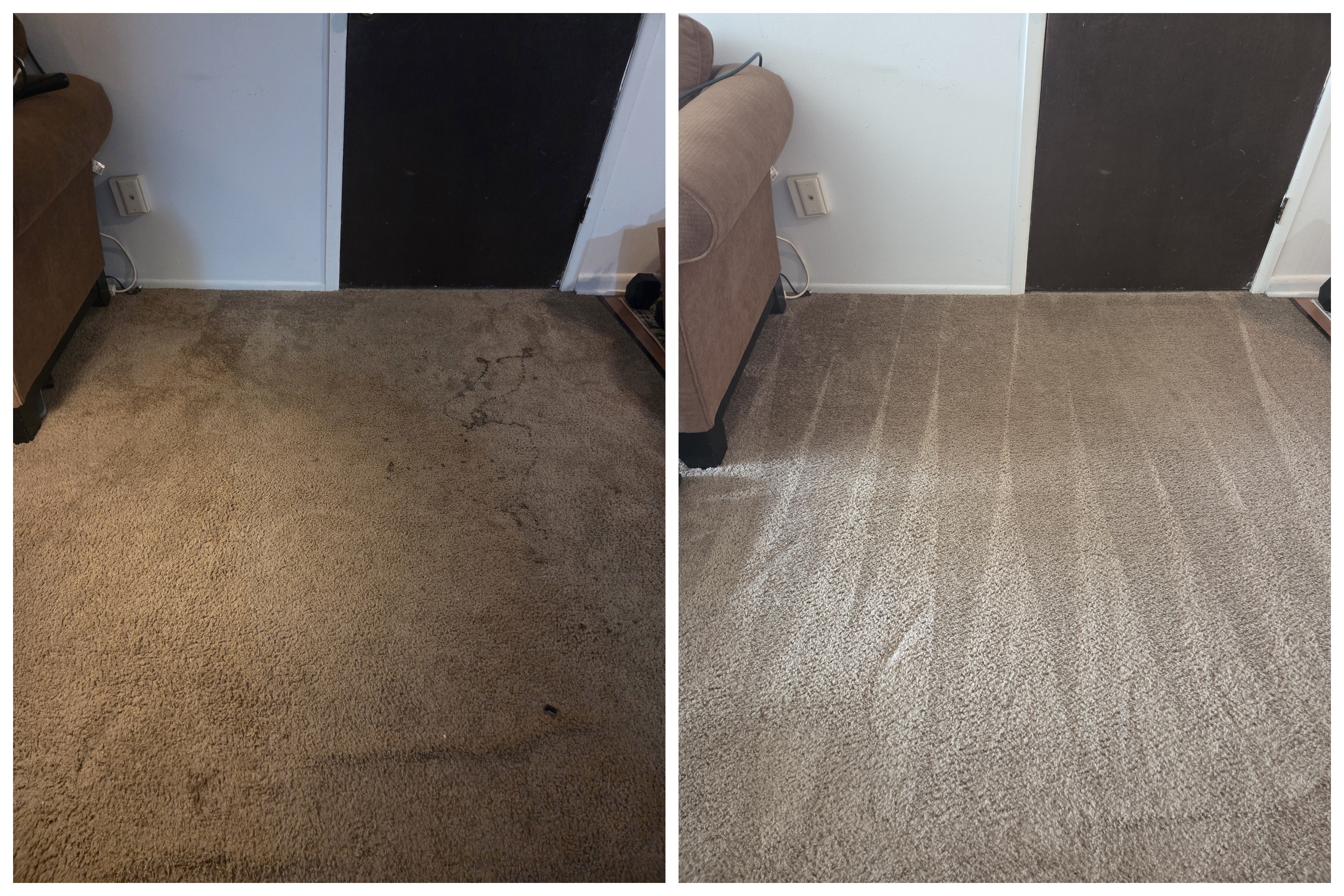 Living room carpet cleaning, freshly groomed and stain free