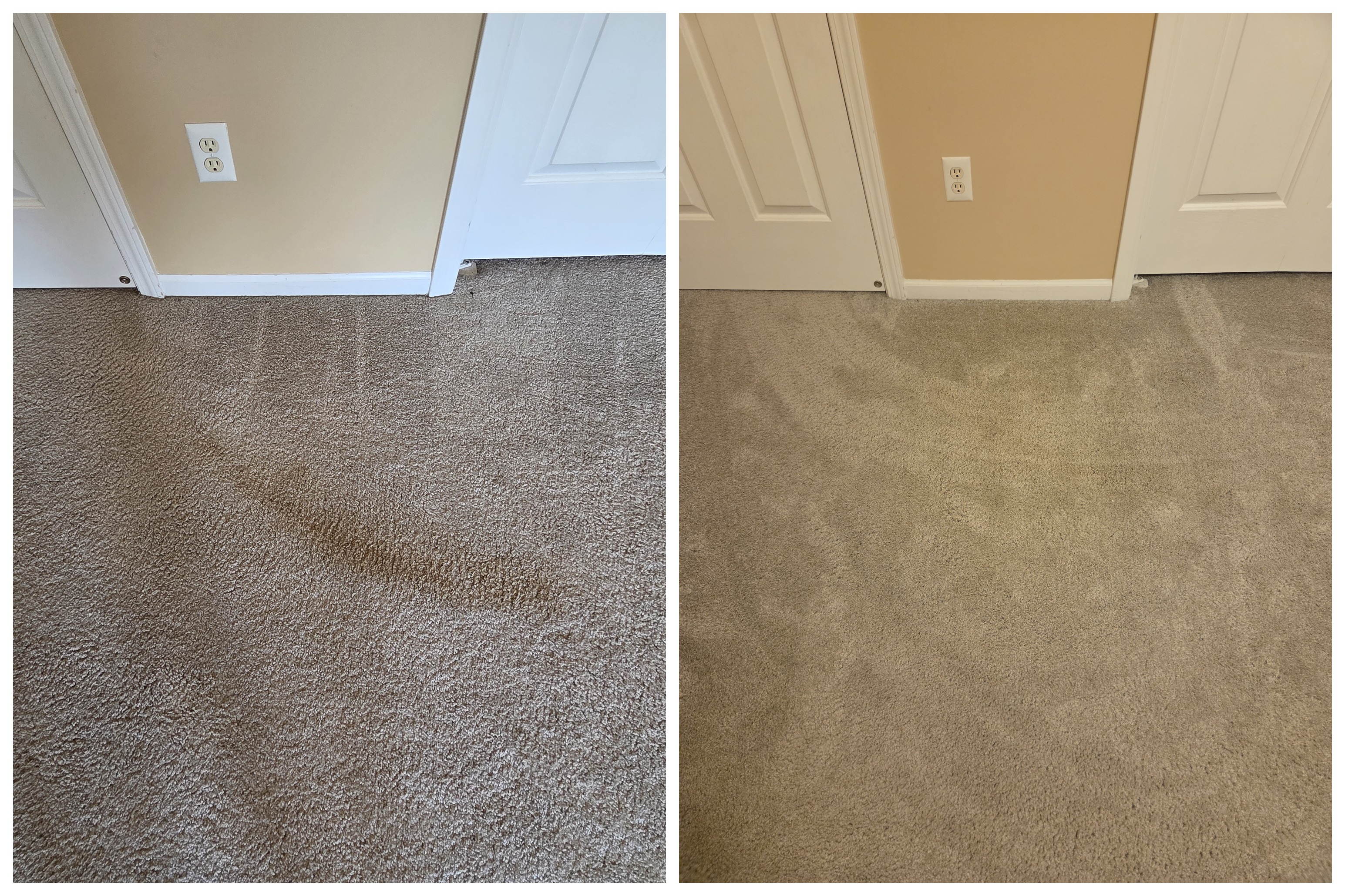 Set-in carpet stain, completely lifted