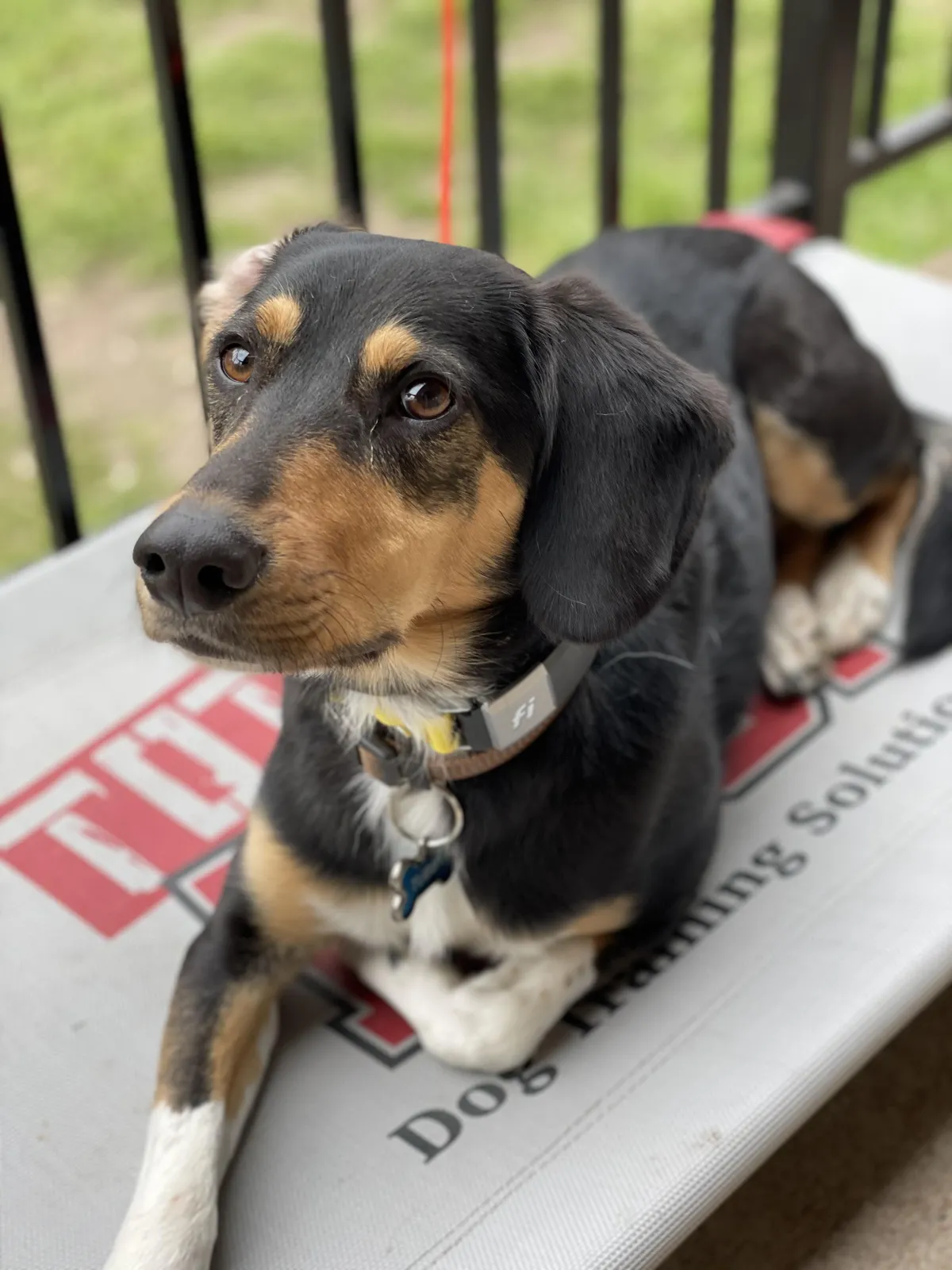 A small bird sitting on top of a small figurine