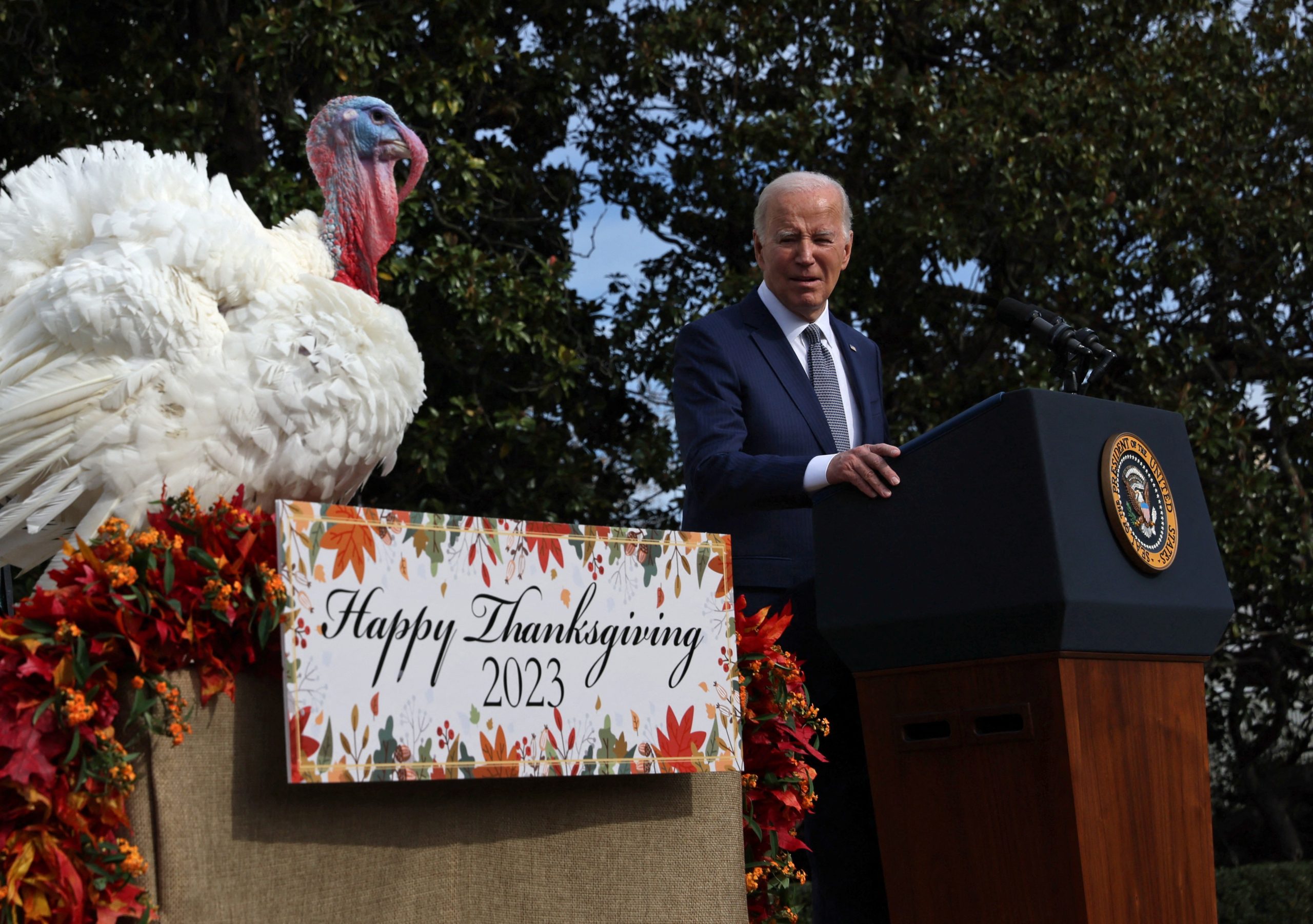 Happy Thanksgiving!
