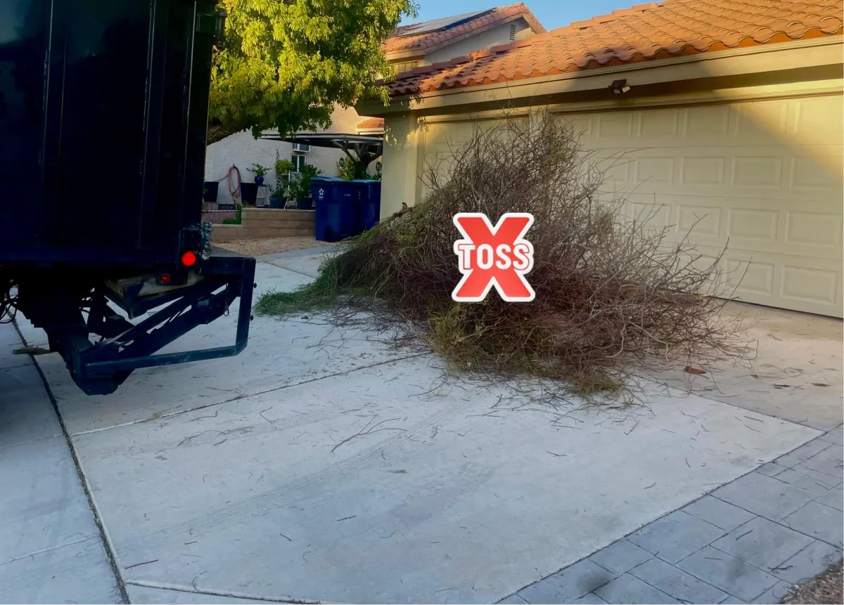 Yard Debris Removal