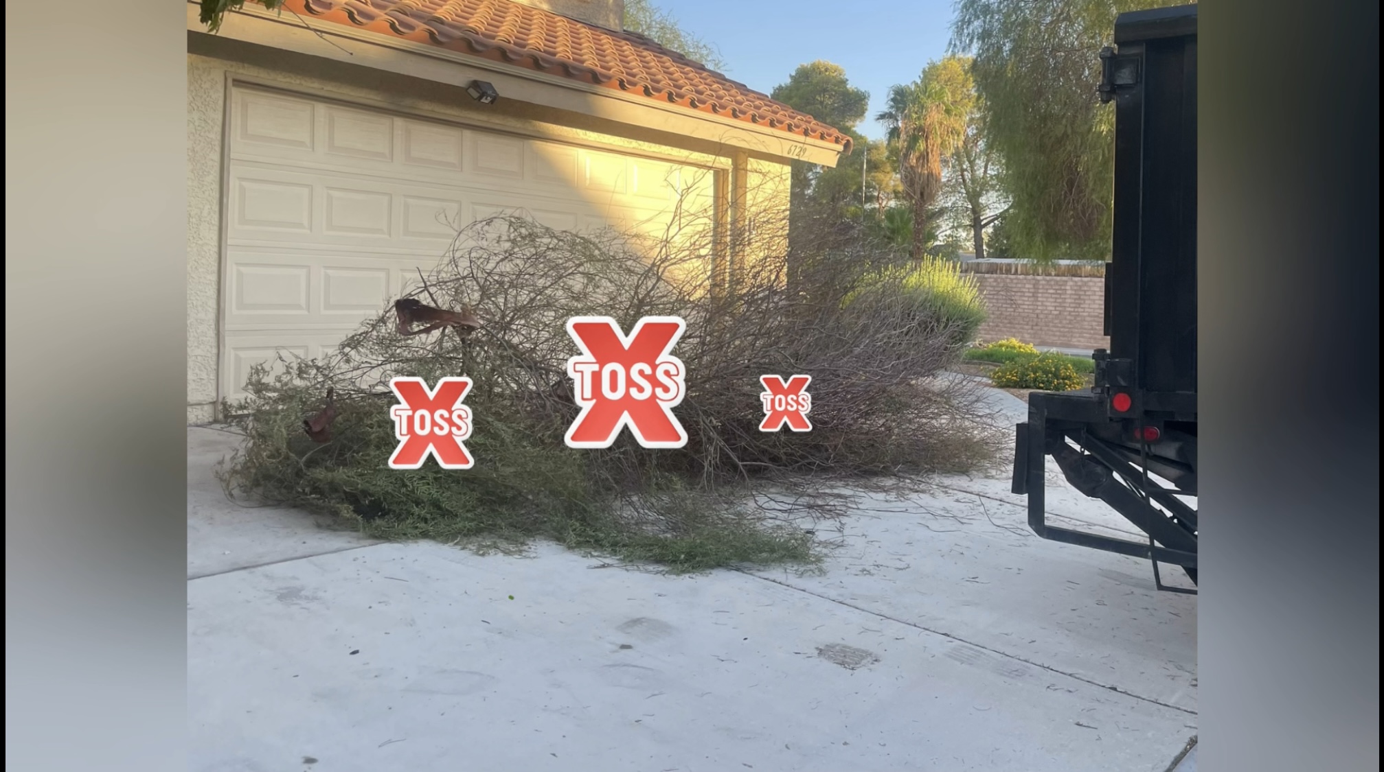 Yard Debris Cleanup