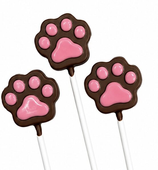 Chocolate cake pop with a pink paw print design by Sugar Coast Sweets, perfect for pet birthdays or adoption celebrations