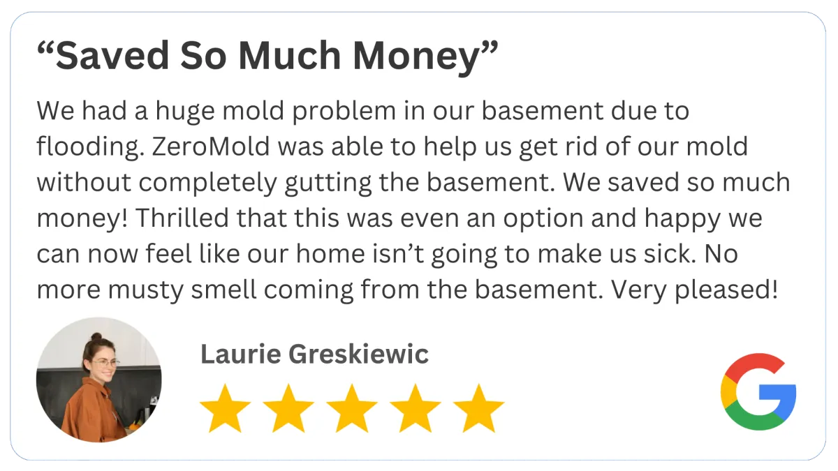 Mold Review