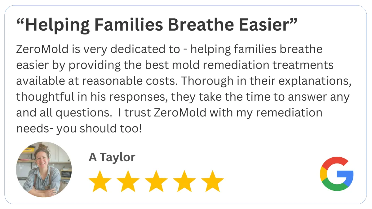 Mold Review