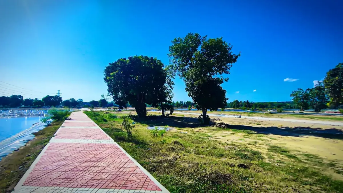 Scenic jogging trail around the lake at The Lake at St. Charbel, surrounded by lush greenery and designed for fitness enthusiasts.