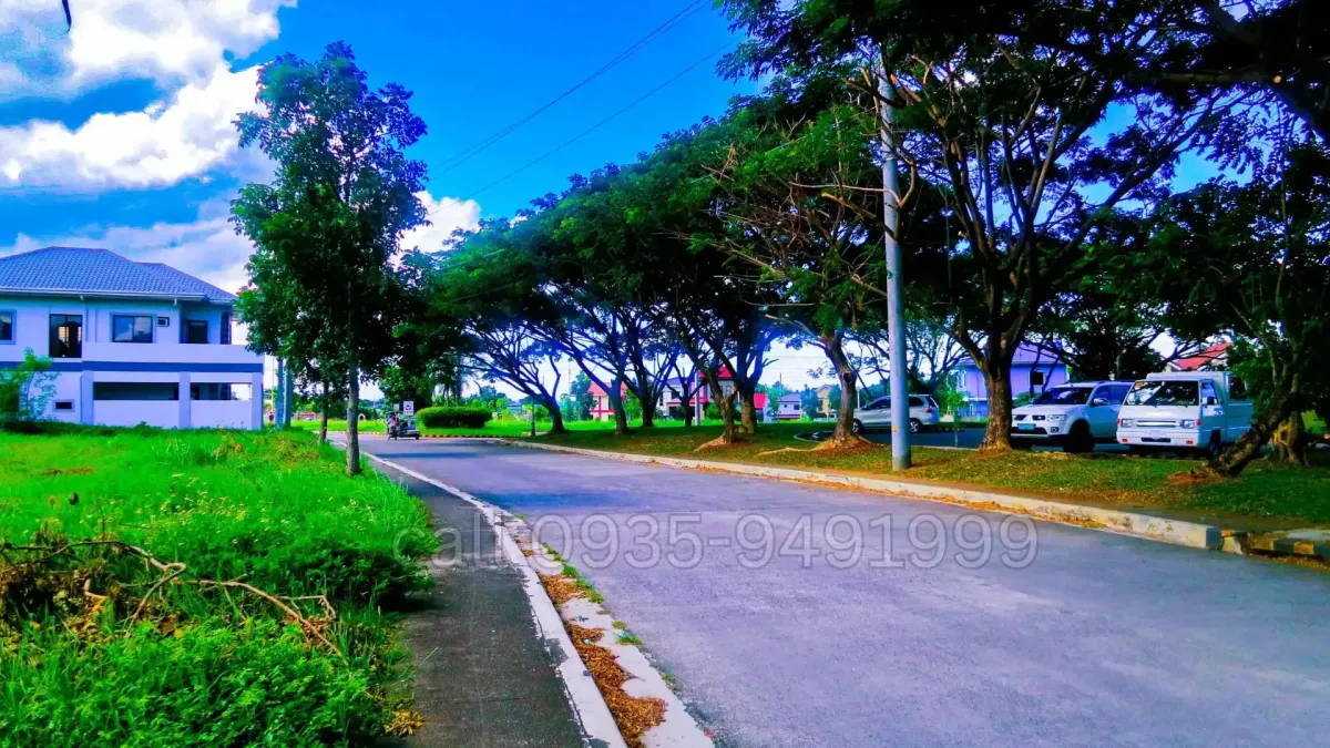 Ponteverde de Sto Tomas Batangas Main Road Network