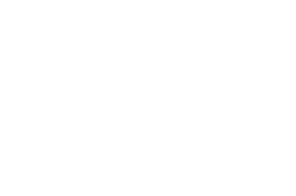 New England Spas logo