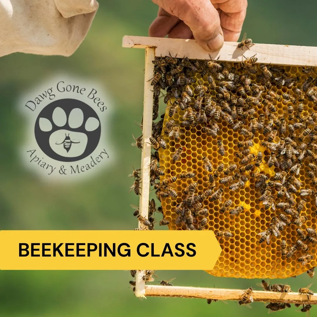 Mead Making Classes Hanover PA