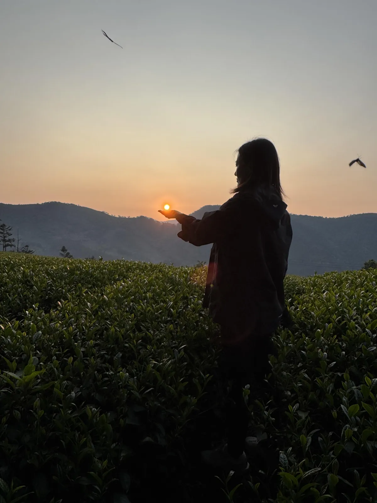 Returning Home: A Post-Retreat Reflection from Taiwan