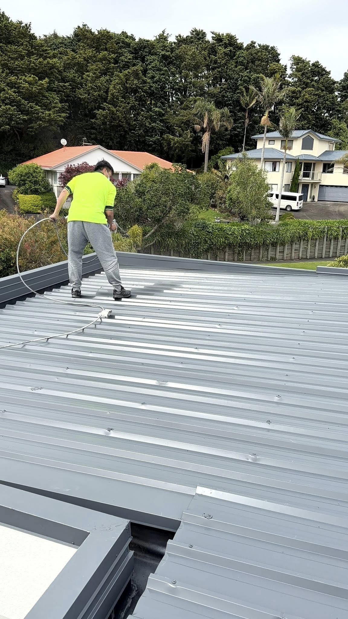 Professional painting services in Auckland and Whangarei