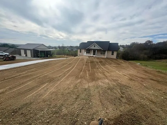 Some white flowers are in the middle of some green grass