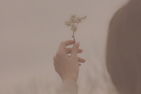 Reclaim Your Authentic Feminine Expression in a World of Conditioning