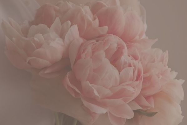 Flowers in full bloom symbolizing inner beauty and feminine radiance