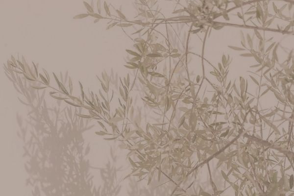 The Magnetic Power of Feminine Receptivity