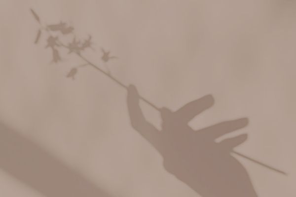 The Art of Feminine Manifestation: Align, Magnetize, and Create with Purpose