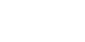 Vivo Chiropractic Logo