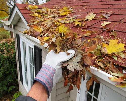 Commercial Exterior Cleaning in Clyde