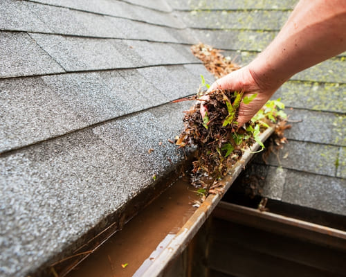 Clyde Solar Panel Cleaning