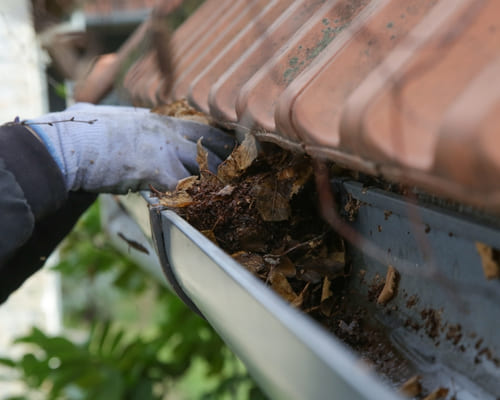 Aspendale Solar Panel Cleaning
