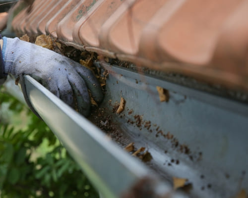 Gutter Cleaning in Clyde