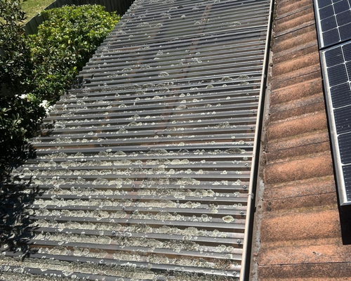 Roof Cleaning Clyde