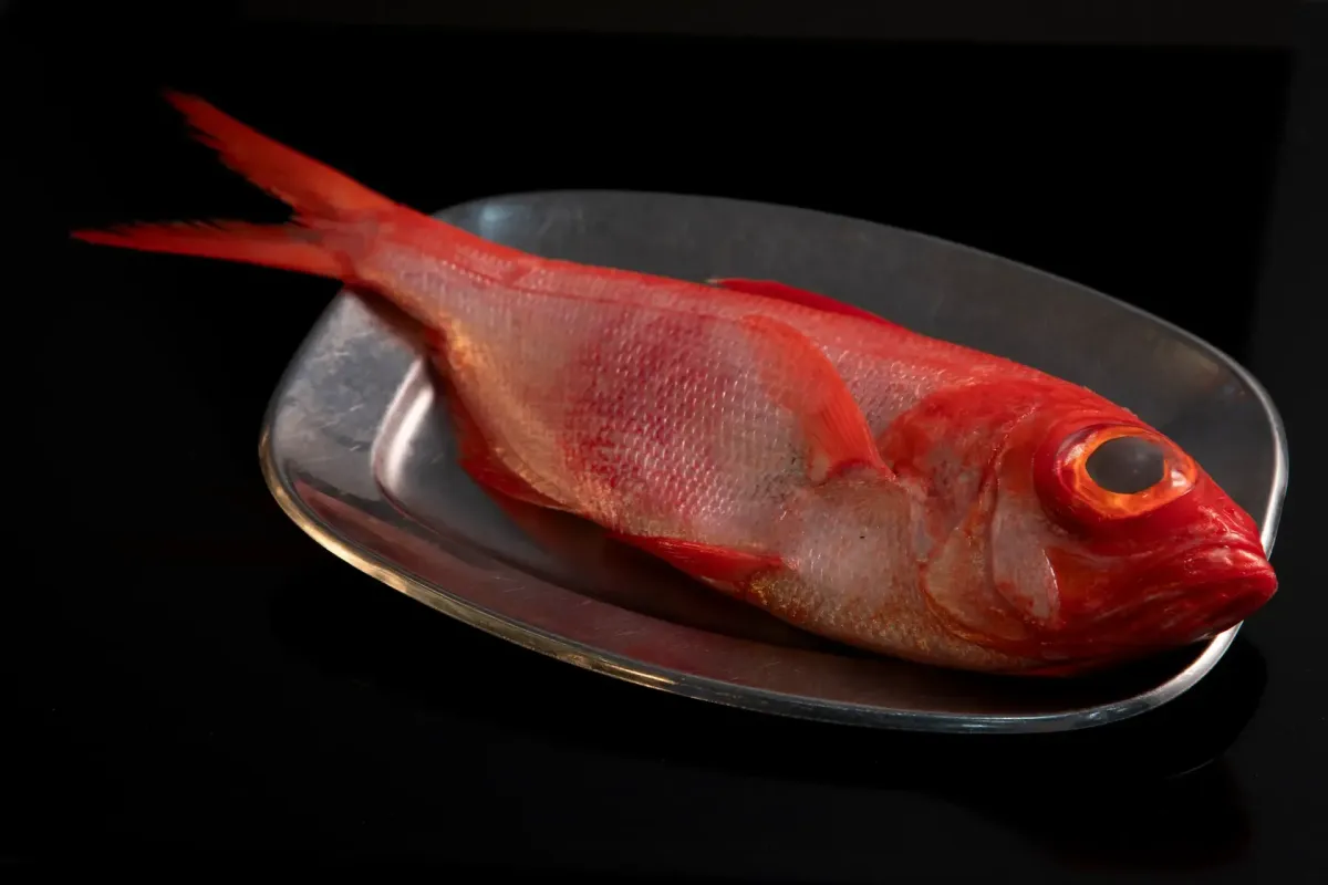 Peixe Salongo fresco na Tasca da Fatinha Setúbal