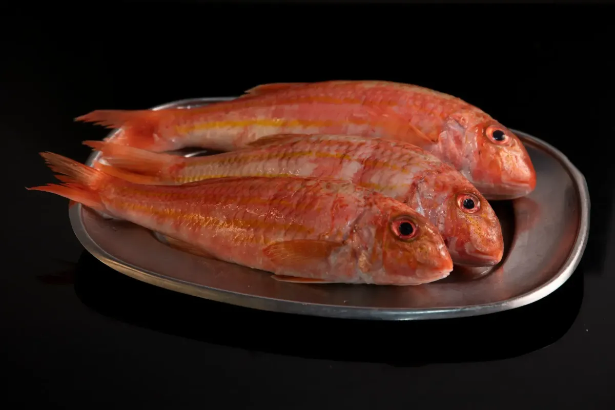 Peixe Salmonetes fresco na Tasca da Fatinha Setúbal