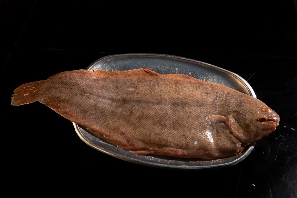 Peixe Linguado fresco na Tasca da Fatinha Setúbal