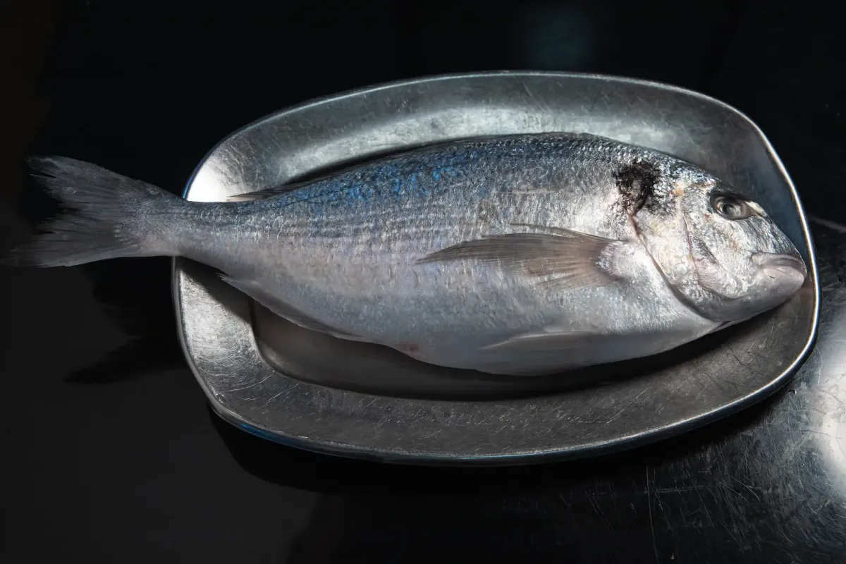 Peixe Douradafresco na Tasca da Fatinha Setúbal