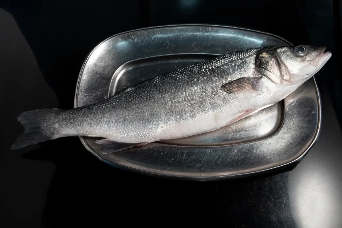 Peixe Robalo fresco na Tasca da Fatinha Setúbal