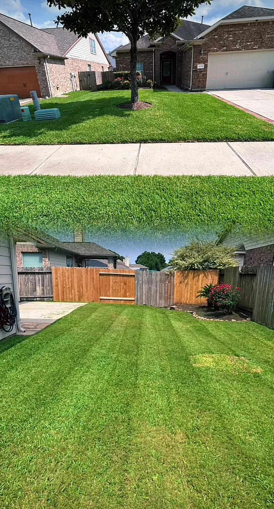 Lawn service in Plano,Tx