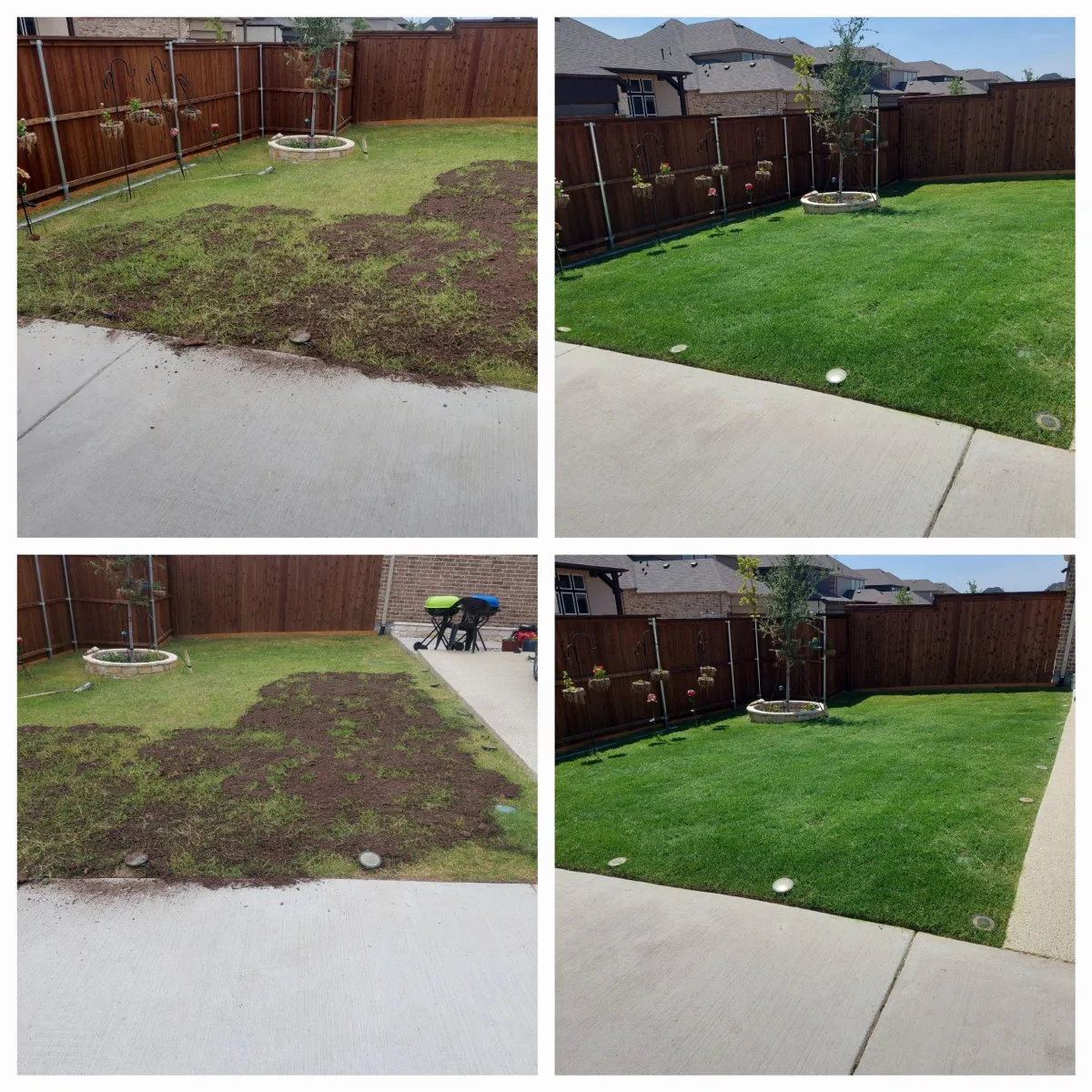 Grass seedng in Plano, Frisco, Allen, Murphy, Wylie, Garland, and Dallas.