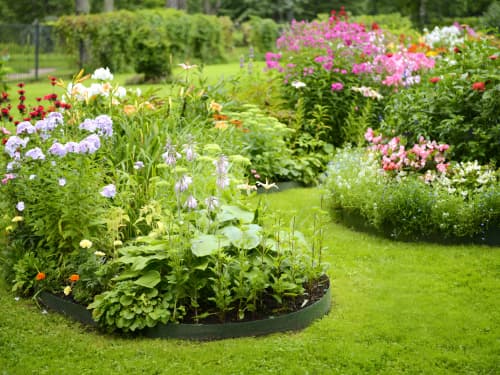 Flower Bed in Houston, TX