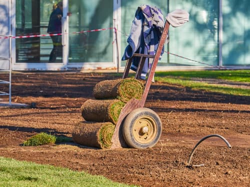Sod Installation in Houston, TX