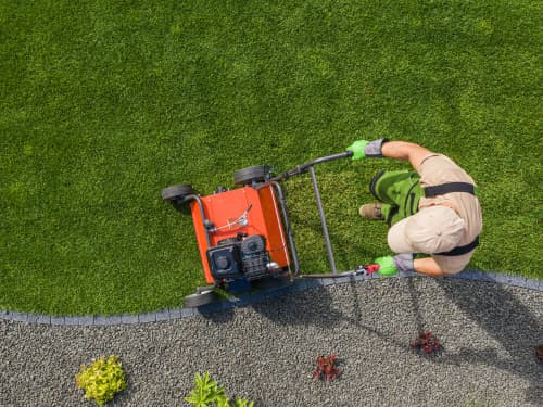 Lawn Mowing & Trimming in Houston, TX
