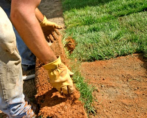 Landscaping Houston, TX